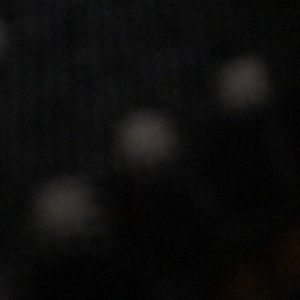 Meet your Posher, Leslie